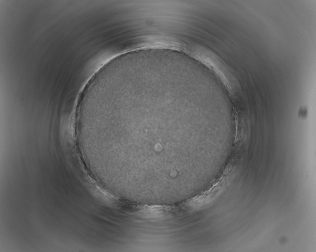 X0000116480828201001201340