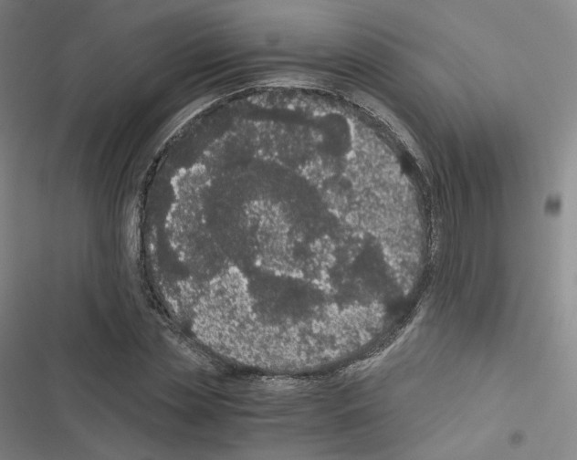 X0000116480829201001201340