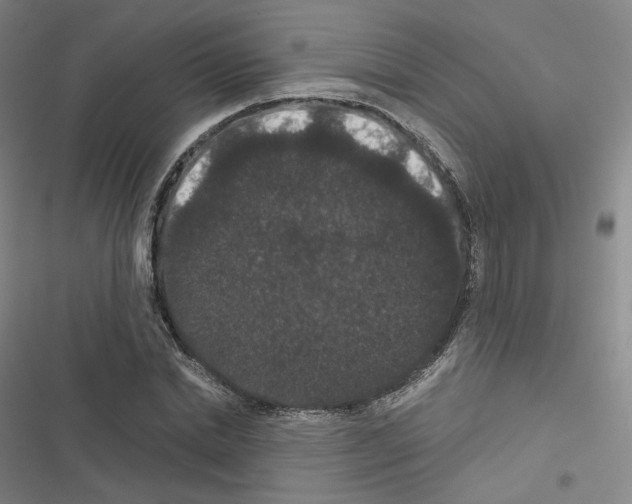 X0000116480830201001201340