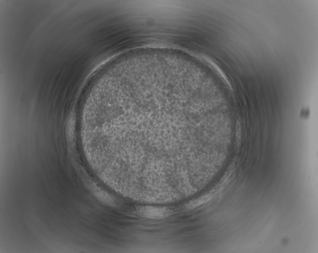 X0000116480831201001201340