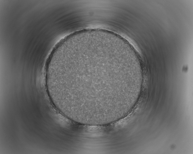 X0000116480832201001201340