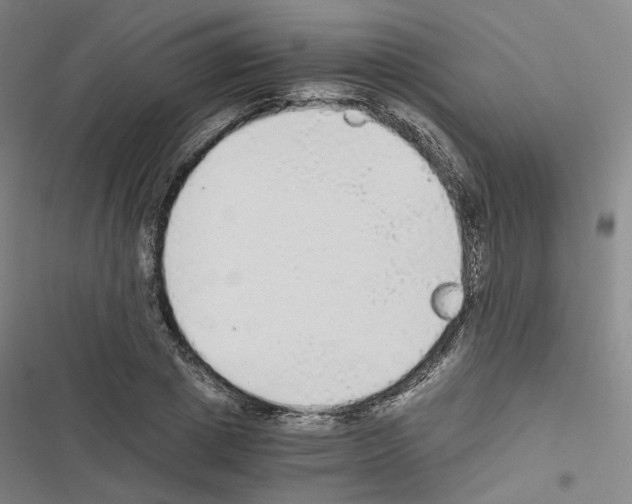 X0000116480833201001201340