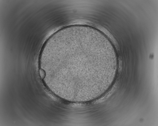 X0000116480834201001201340