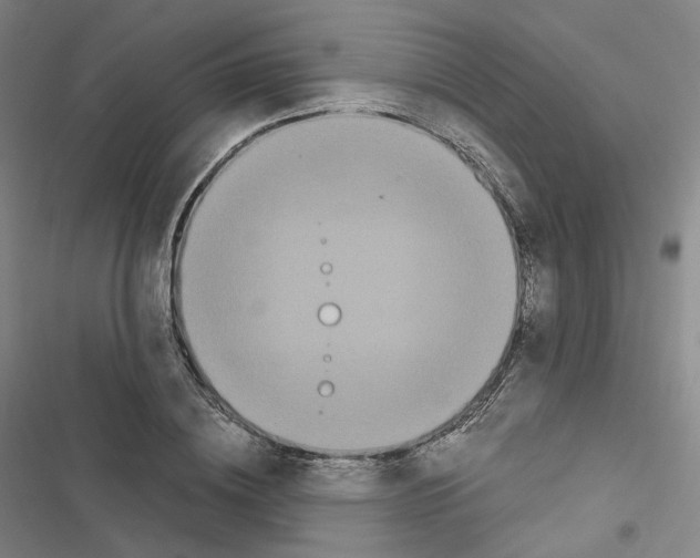 X0000116480836201001201340