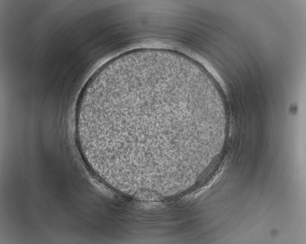 X0000116480837201001201340