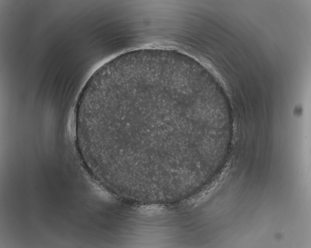 X0000116480838201001201340