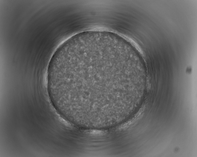 X0000116480839201001201340