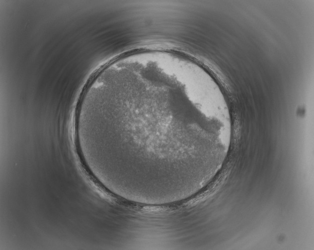 X0000116480840201001201340