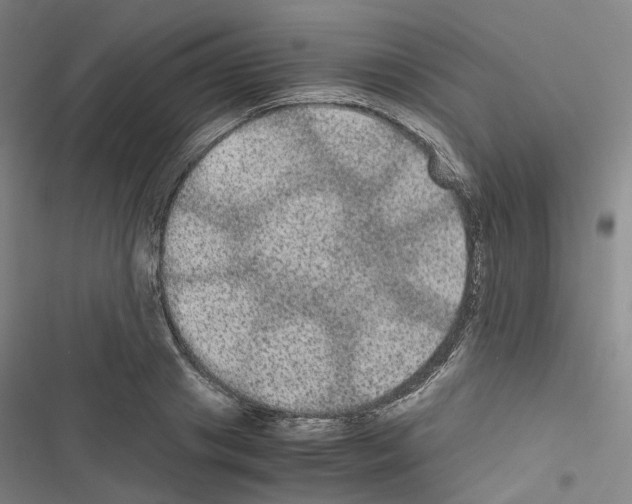 X0000116480841201001201340