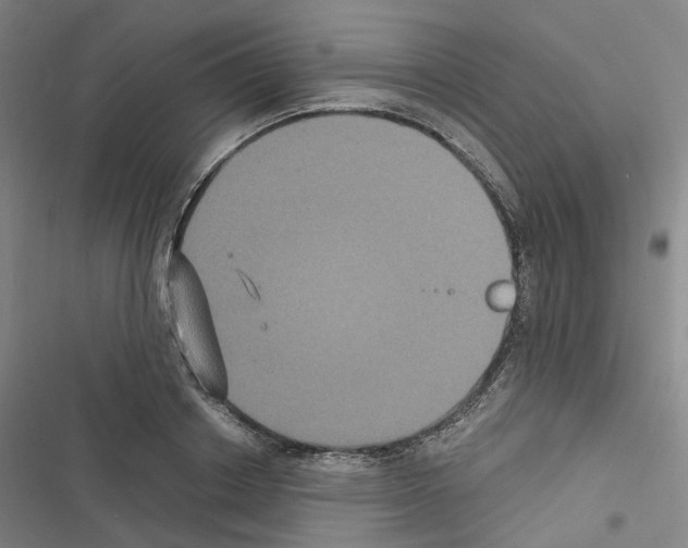 X0000116480842201001201340