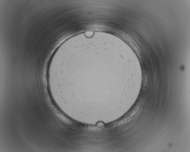 X0000116480843201001201340