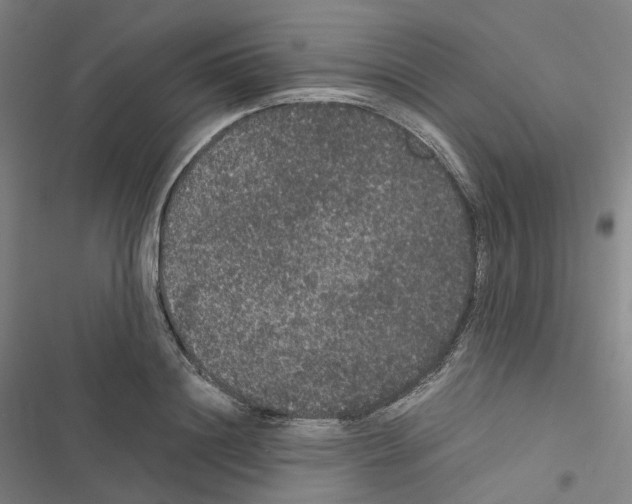 X0000116480844201001201341