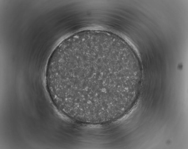 X0000116480845201001201341