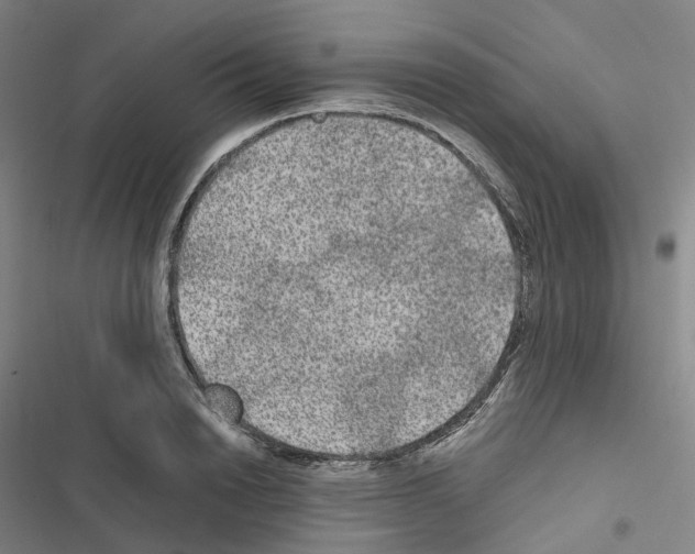 X0000116480846201001201341