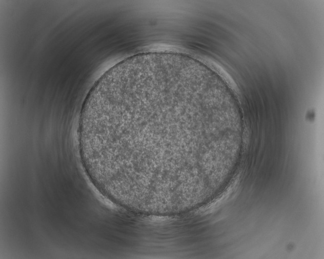 X0000116480847201001201341