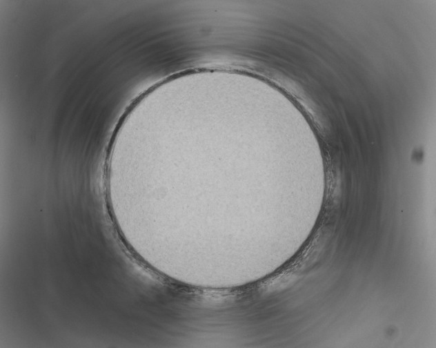 X0000116480848201001201341