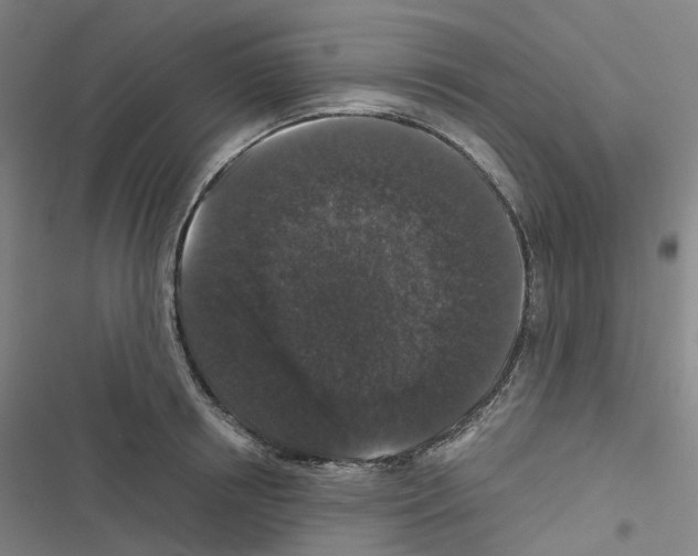 X0000116480850201001201341