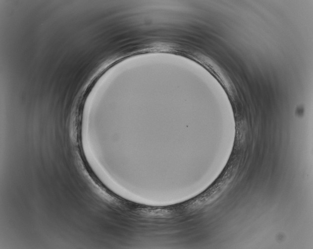 X0000116480851201001201341