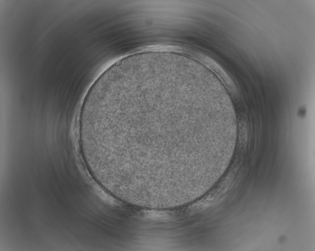 X0000116480852201001201341