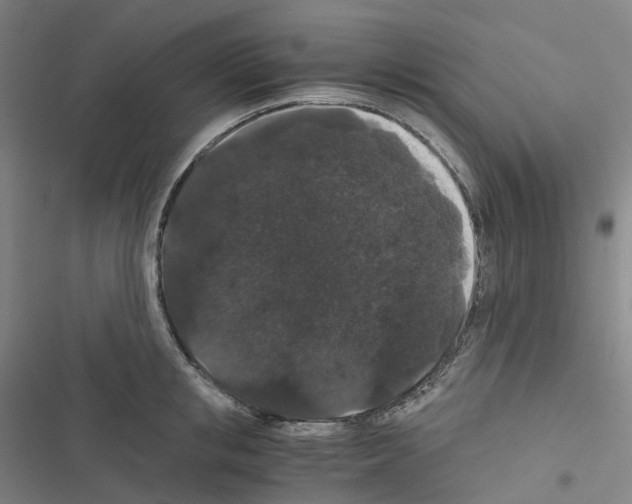 X0000116480853201001201341