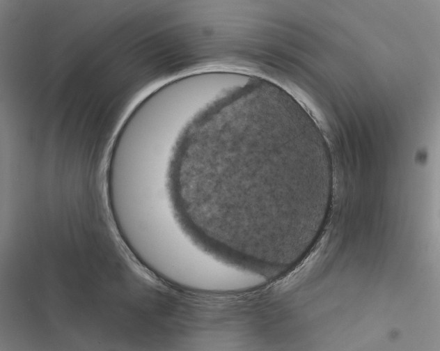 X0000116480854201001201341