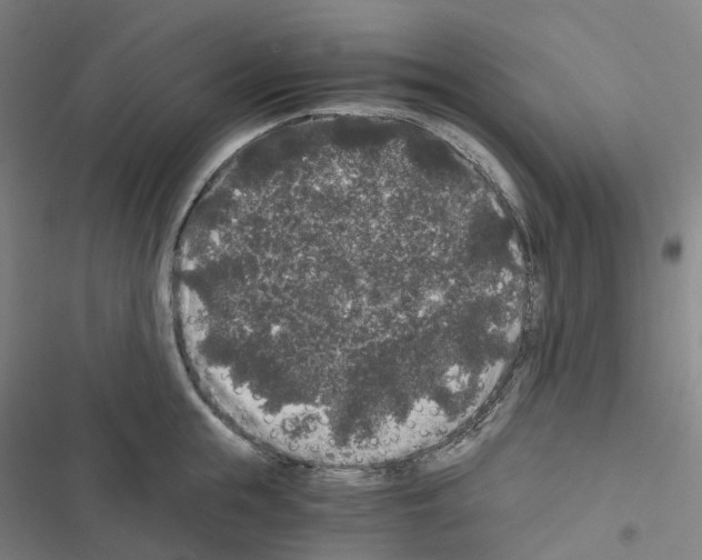 X0000116480855201001201341