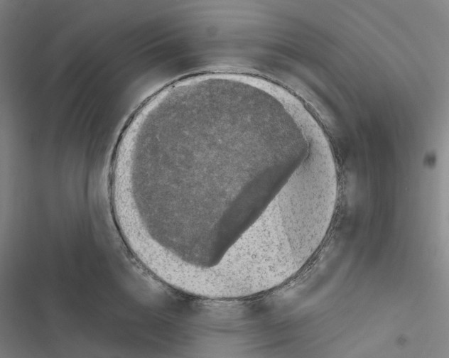 X0000116480856201001201341