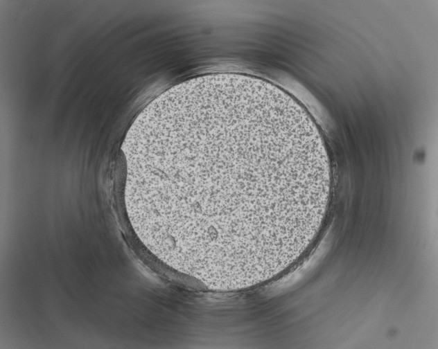 X0000116480857201001201341