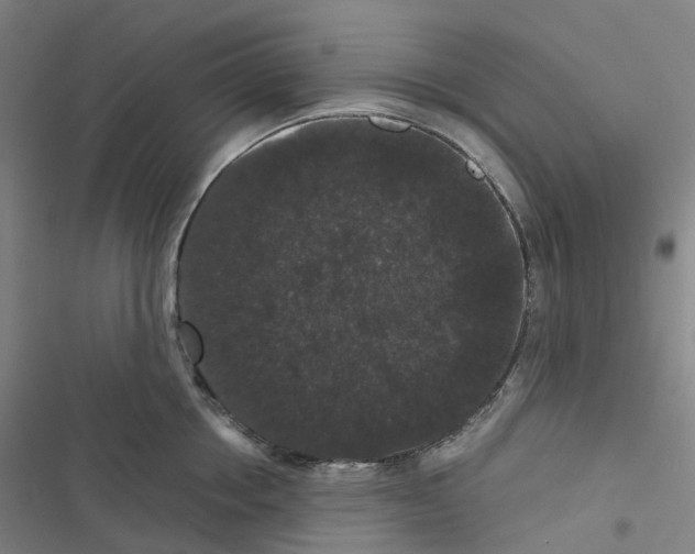 X0000116480858201001201341