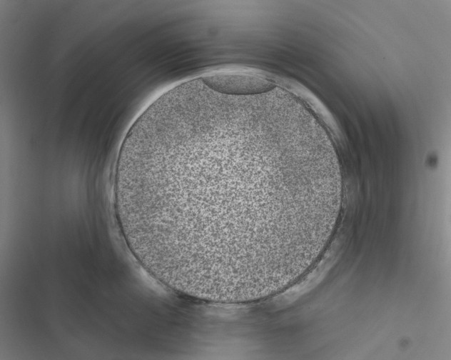 X0000116480860201001201341