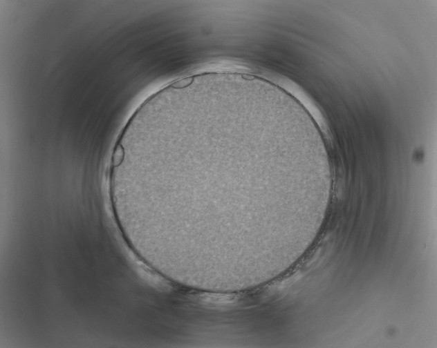 X0000116480861201001201341