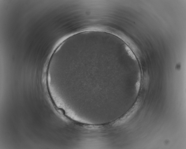 X0000116480862201001201341