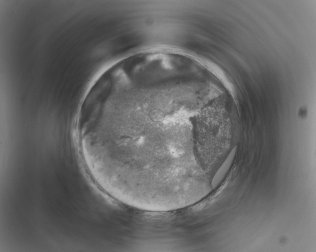 X0000116480863201001201341