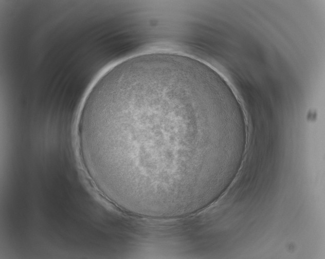 X0000116480864201001201341