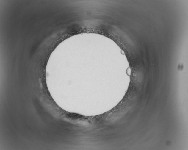 X0000116480865201001201340