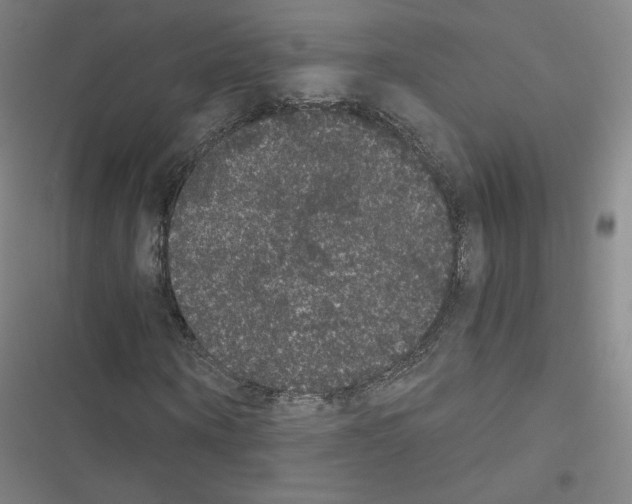 X0000116480866201001201340