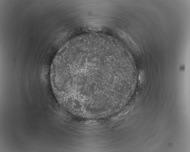 X0000116480867201001201340