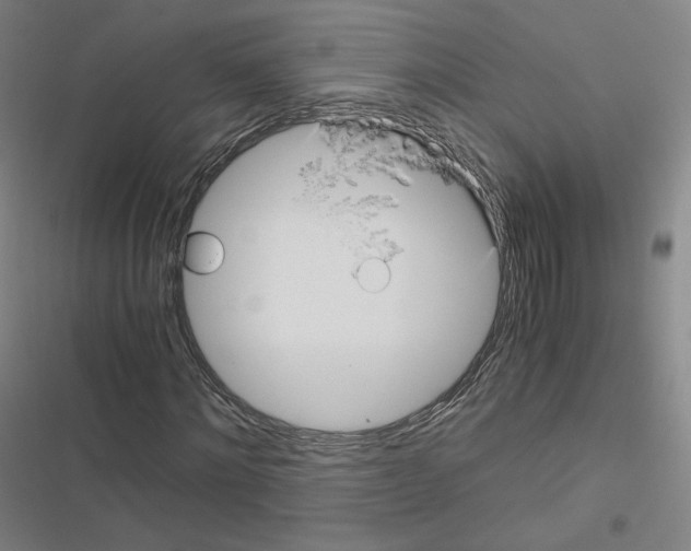 X0000116480868201001201340