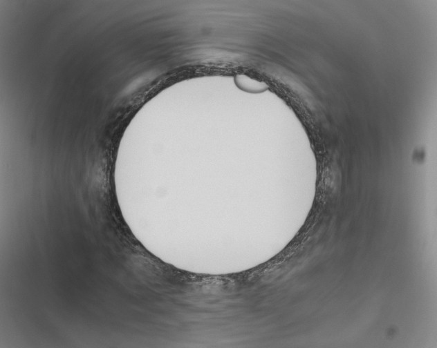 X0000116480869201001201340