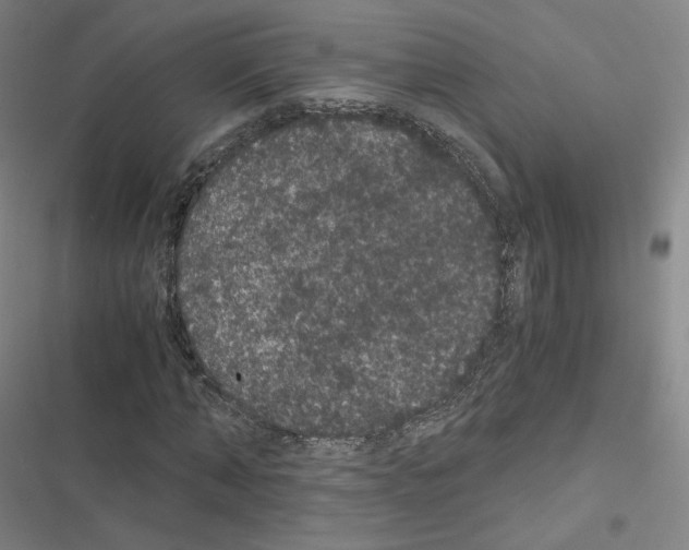 X0000116480870201001201340