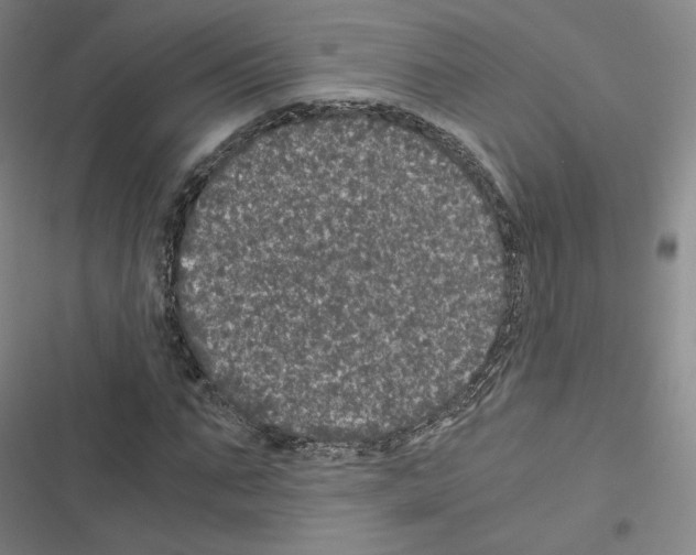 X0000116480871201001201340