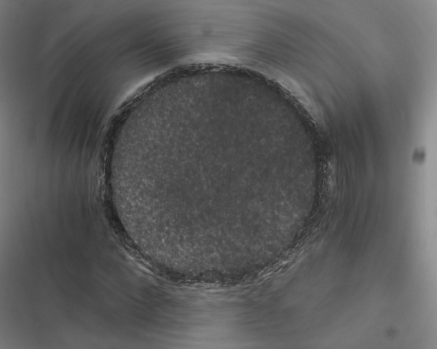 X0000116480872201001201340