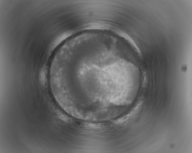 X0000116480874201001201340