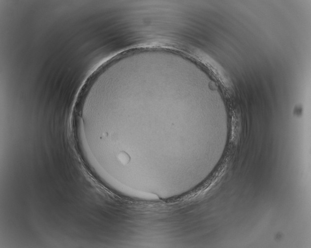 X0000116480876201001201340