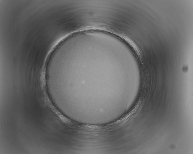 X0000116480878201001201340