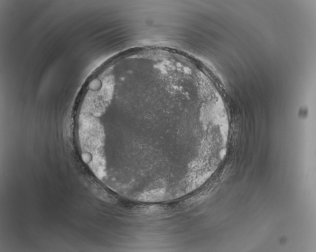 X0000116480879201001201340