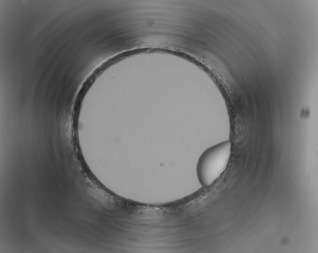 X0000116480880201001201340