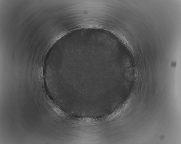 X0000116480881201001201340