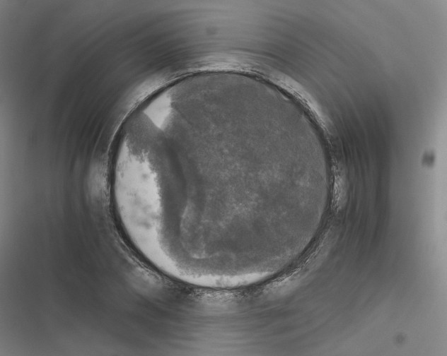 X0000116480882201001201340