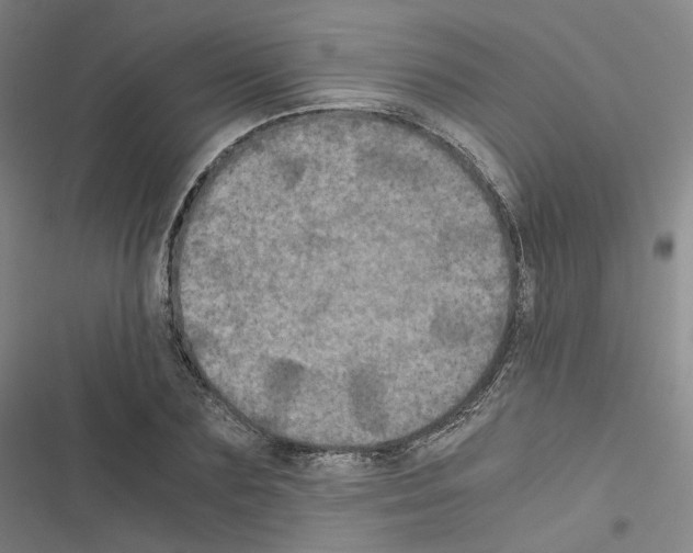 X0000116480883201001201340